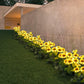 💥This week's special Sales - 💕🎁 - Waterproof Sunflower Solar Garden Stake Lights