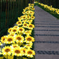 💥This week's special Sales - 💕🎁 - Waterproof Sunflower Solar Garden Stake Lights