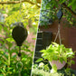 EINZIEHBARER HIRUNDO-HAKEN FÜR GARTENBARS, VÖGEL